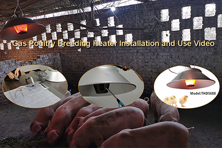 THD5688 Gas Poultry Heater Installation and Use Video